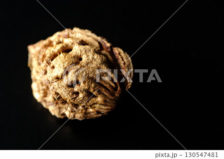 桃の種を黒背景で撮影 130547481