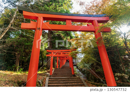 出石城の有子山稲荷神社の紅葉 出石城の有子山稲荷神社の紅葉 130547732