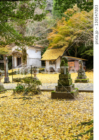 出石城諸杉神社の銀杏の黄葉 出石城諸杉神社の銀杏の黄葉 130547803
