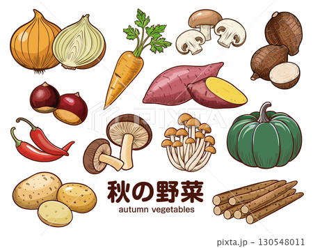 秋の野菜 130548011
