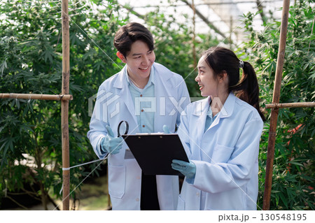 Collaborative research on cannabis cultivation and plant health in a greenhouse. 130548195