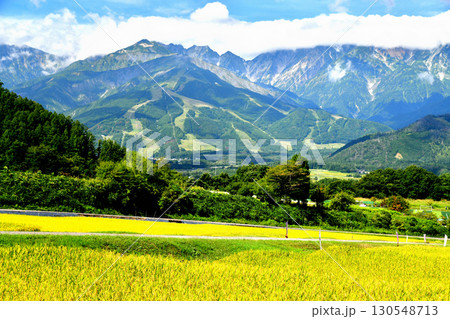 長野県白馬村野平地区より八方尾根方面を望む(長野県白馬村)【2025.9】 130548713