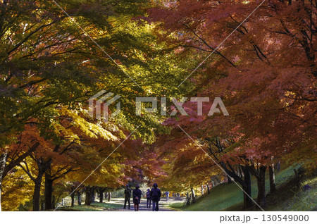 長野県もみじ湖の紅葉並木と観光客の風景 長野県もみじ湖の紅葉並木と観光客の風景 130549000