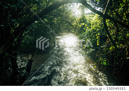 Natural stream with morning light Natural stream with morning light 130549381