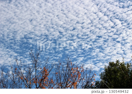 鱗雲（鰯雲）cirrocumulus 130549432