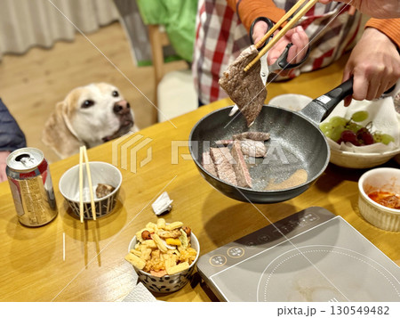 夕食中に肉を見上げる犬 130549482