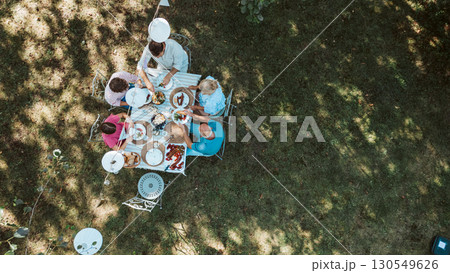 Top view of grandparents, parents and kids during grill party. 130549626