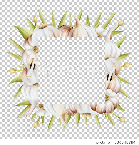 Garlic with leaves square frame watercolor illustration isolated on white. Hand drawn realistic vegetables template with copy space in pastel beige and green colors for food labels and culinary 130549894