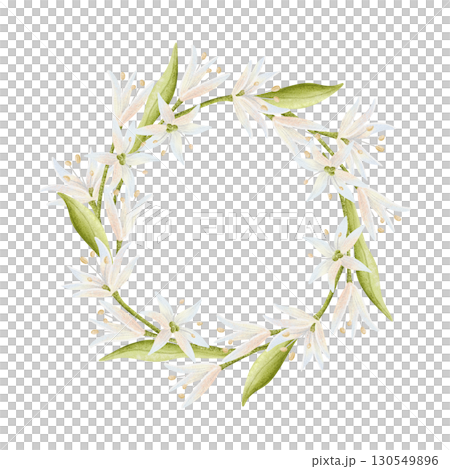 Spring white flowers watercolor round wreath. Simple wildflowers frame with green leaves and copy space. Delicate floral sticker illustration in minimalist style for wedding designs 130549896