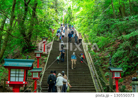 【東京都】豊かな自然に恵まれた高尾山薬王院の男坂 【東京都】豊かな自然に恵まれた高尾山薬王院の男坂 130550373
