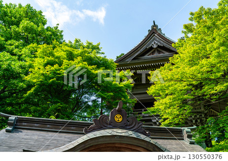 【東京都】爽やかな新緑が美しい高尾山薬王院 130550376