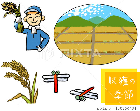 田んぼの収穫イラストセット 田んぼの収穫イラストセット 130550431
