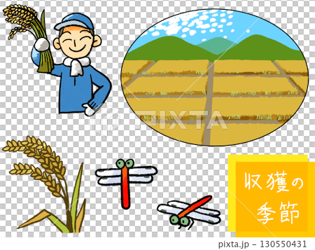 稻田收穫插圖集 130550431