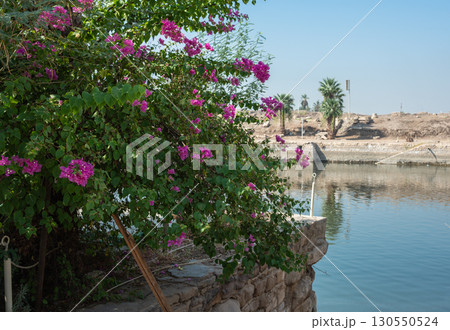 Ancient ruins of Karnak Temple in Luxor, Egypt Ancient ruins of Karnak Temple in Luxor, Egypt 130550524