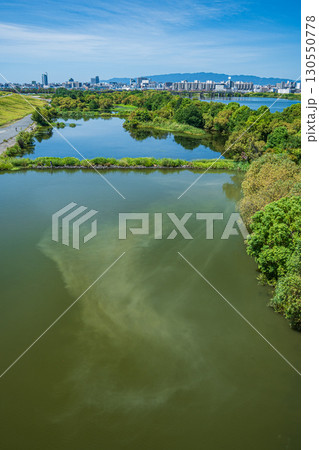 菅原城北大橋から望む城北ワンド 大阪市 菅原城北大橋から望む城北ワンド 大阪市 130550778