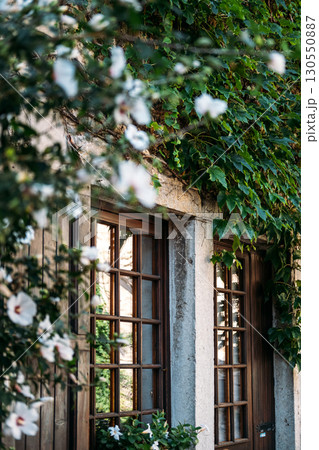 Wooden framed windows surrounded by ivy and white blossoms on a stone facade. Quiet living, countryside serenity, daydream dwellings, off-the-grid beauty 130550887