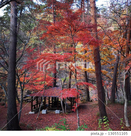 昇仙峡 紅葉 秋の景色 昇仙峡 紅葉 秋の景色 130551105