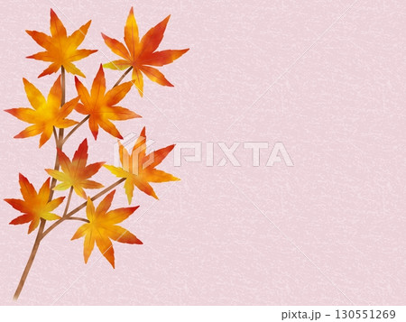 紅葉の背景 A-5 紅葉の背景 A-5 130551269