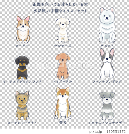 正面を向いてお座りしている犬の水彩風の手描きイラストセット 正面を向いてお座りしている犬の水彩風の手描きイラストセット 130551572