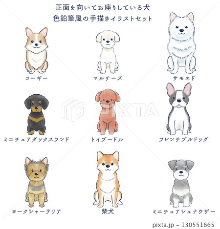 正面を向いてお座りしている犬の色鉛筆風の手描きイラストセッの