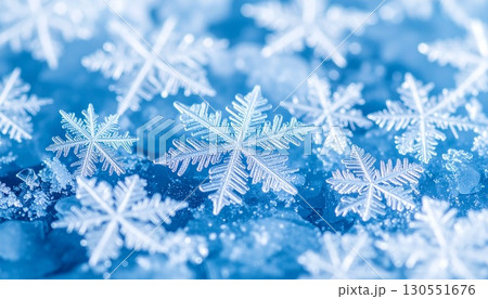 繊細で美しい氷の結晶、煌めく雪の結晶のマクロビュー 130551676