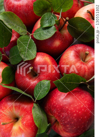 Fresh red apples forming appealing composition with green leaves 130551802