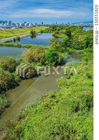 菅原城北大橋から望む城北ワンド　大阪市 130551820