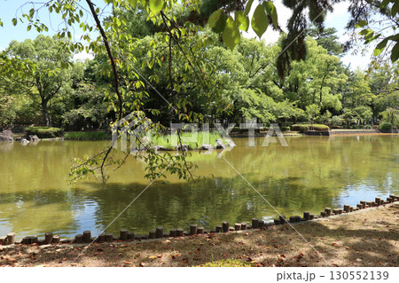 豊臣秀吉・秀長兄弟ゆかりの中村公園と豊国神社(愛知県名古屋市) 豊臣秀吉・秀長兄弟ゆかりの中村公園と豊国神社(愛知県名古屋市) 130552139