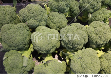 野菜売り場　ブロッコリー 130552290