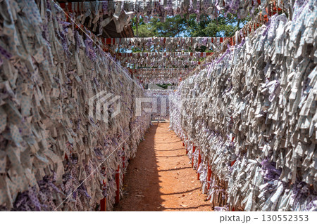Omikuji fortune path at Ishiura Shrine in Kanazawa Omikuji fortune path at Ishiura Shrine in Kanazawa 130552353
