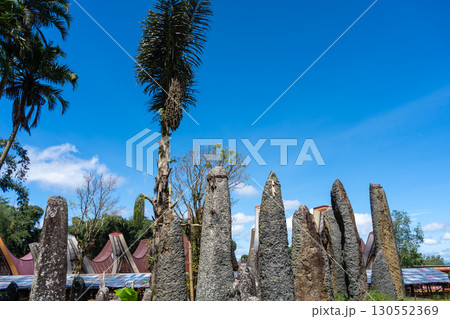 Funerary monoliths in a traditional village, Toraja land, Sulawesi, Indonesia 130552369