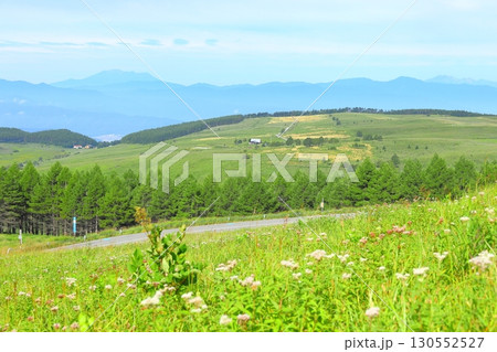 長野県 霧ヶ峰高原 130552527