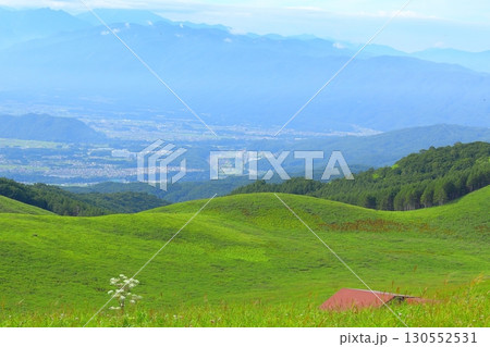 長野県 霧ヶ峰高原 130552531