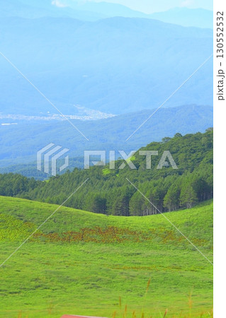 長野県 霧ヶ峰高原 130552532