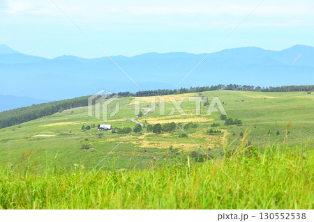 長野県 霧ヶ峰高原 130552538