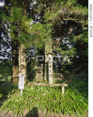 足柄関所跡：おじぎ石と標柱【足柄山】静岡県御殿場市 130552600