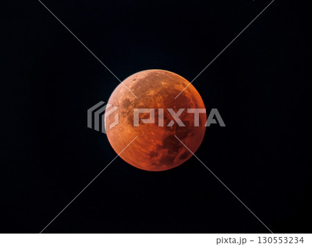 東京ブラッドムーン2025 130553234