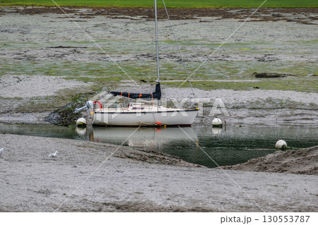 Seaside landscape in Armor Coast, Brittany in France Seaside landscape in Armor Coast, Brittany in France 130553787