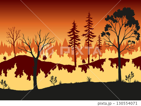 Forest fire. Burning spruces and oak trees, wood plants in flame. Forest fires in Amazon and Australia Forest fire. Burning spruces and oak trees, wood plants in flame. Forest fires in Amazon and Australia 130554071