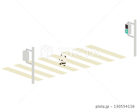 横断歩道を渡る子パンダ 横断歩道を渡る子パンダ 130554116