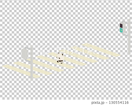 Baby panda crossing the crosswalk 130554116
