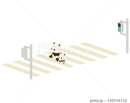 横断歩道を渡るパンダ親子 130554118