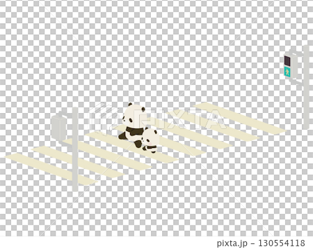 Panda parent and child crossing the crosswalk 130554118