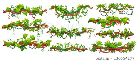 Tropical jungle forest liana vine branches intertwined and cascading with of green leaves and roots. Cartoon vector green foliage spinney, dense flora of rainforest ecosystem with climbing thickets 130554177