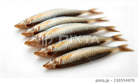 白背景に並べられた小魚 白背景に並べられた小魚 130554970