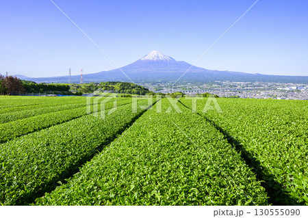 若葉萌える茶畑と富士山 静岡県富士市 岩本山付近 若葉萌える茶畑と富士山 静岡県富士市 岩本山付近 130555090