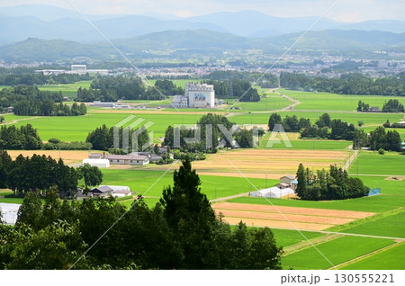 円万寺観音山から見える居久根(いぐね)のある風景 円万寺観音山から見える居久根(いぐね)のある風景 130555221