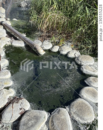 奥日光湯ノ湖_9月_湖に湧き出る源泉_ 奥日光湯元温泉源泉 130555228