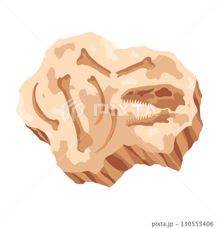 Dinosaur fossil skeleton bones, excavations of archeology isolated. Prehistoric reptile skeletons lying underground. Cartoon paleontological artifact 130555406