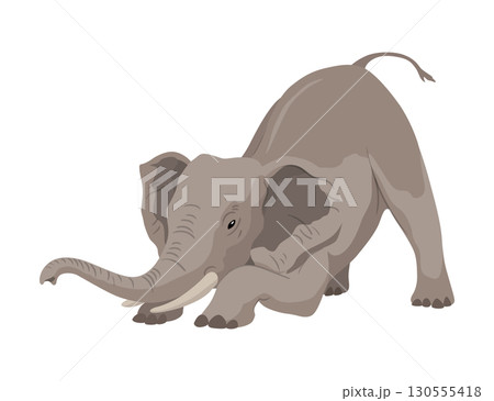 Flat vector elephant in poses African of Asian animal with large ears and long trunk. Wildlife theme 130555418